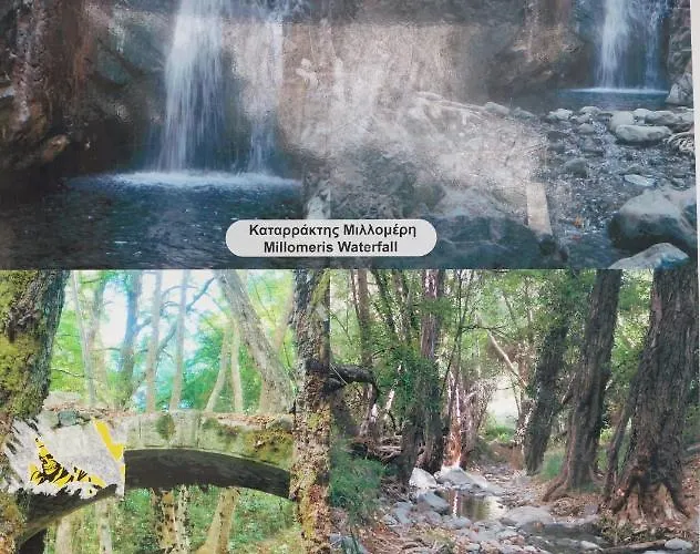 בית נופש The House *