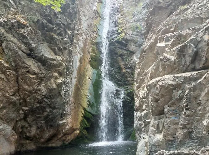 בית נופש The House *